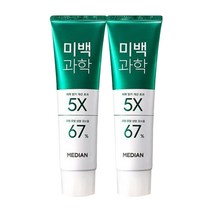 메디안 미백과학 치약 플럼민트향 100g 2입, 2개