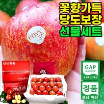 정품 충남 예산 엔비사과 10kg 선물세트 명절 설날 연말 과일 신품종 앤비 NB사과 고당도 딱딱한 풍미가득 감홍 처럼 맛있는 달콤한 꿀 사과