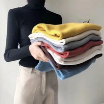 터틀넥 골지 티셔츠 가을옷 신축성 데일리룩
