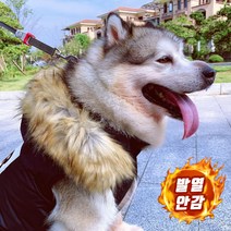마켓무디 강아지 겨울용 보온후드패딩 S~6XL 소형견 중형견 대형견 초대형견 맞춤 사이즈 애견의류 패딩조끼 겨울 옷 도베르만 푸들 허스키 포메라니안 리트리버, 6XL