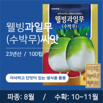 23년산 과일무 수박무 씨앗 100립 국내산, 1개