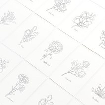 모노 플라워 엽서 08 튤립, 1개