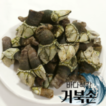 제주도 거북손 자연산 거제도 산지직송 1kg 2kg 3kg, 자연산 거북손 1kg
