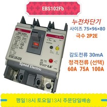 LS산전 EBS102Fb 2P 60A 30mA 누전차단기 10kA ELCB ELB