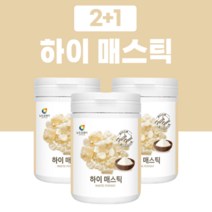 매스틱껌 매스틱 나무 차 마스틱검 추출물 분말 가루 2+1