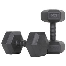 아리프 아이워너 맨즈 육각 아령 5kg 2개 세트 덤벨 헬스