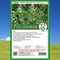 고로쇠나무 씨앗 단풍 15g 수목종조경씨 나무종자