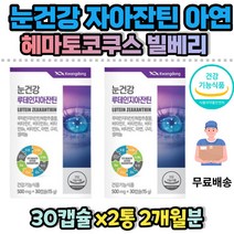 루테인 지아잔틴 헤마토코쿠스 빌베리 결명자 추출물 눈건강 LUTEIN 식약처인증 루테인 대두레시틴 비타민 아연 구리 셀렌늄 LUTEIN&ZEAXANTHIN 20mg 눈이피곤할때 중년 학생