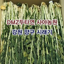 강원도 양구 두타연 건시래기 무청시래기 건나물, 2박스, 시래기 1kg