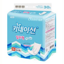 카네이션 성인용기저귀 속기저귀/일자고급형 30매X2팩(60매), 일반, 30개, 2개
