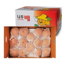[남도장터]이룸 나주배 가정용 신고배 15kg 13-20과대, 단품