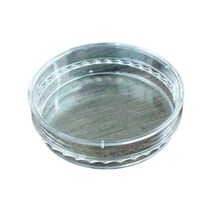 미생물배양 과학실험 플라스틱 샬레 소 20개 용기 실험원리 과학수업 소품