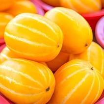 참외 10kg 랜덤과, 상세페이지 참조