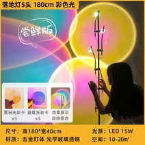 거실 플로어 램프 카사 조명 디자이너 라이트 럭셔리 무드 인플루언서 선셋 침실 스탠드, 시식판-플로어램프5헤드-180cm-컬러라이트