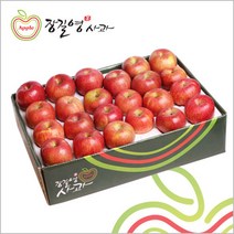 장길영사과 장길영 프리미엄사과 5KG 중소과(20-23과) 청송사과 산지직송, 1세트