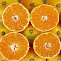 제주 노지감귤 5kg 대과 2L