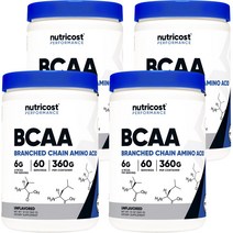 뉴트리코스트 BCAA 무맛, 360g, 4개