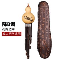호이스트 악기 전문 연주형 C튜닝 B초등학생 어린이 어른 낮추기-181597, 옵션01, 단일옵션