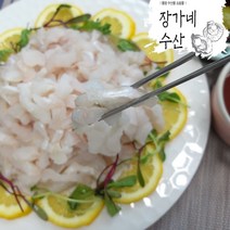 최상급 자연산 통영 손질 바다장어 아나고회 400g 세꼬시 필렛500g, 아나고(바다장어)회 400g/세꼬시