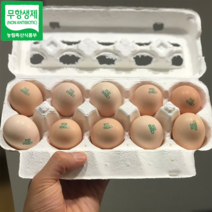 마켓타운 유정란 초란 계란 자연방사 백봉오골계 영자초란, 초란 50구