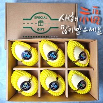 프리미엄 태국 노란망고//애플망고, 골드망고 6과 2.2KG  [선 물 세트]