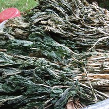 유기농 무청 말린시래기 100g 건 무청 시래기 건시래기 건조시래기 유기농시래기 말린 무청시래기, 500g, 1개