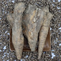안동마 뮤신가득 모자농원 아삭한 산마 2kg 6시내고향출연, 안동마 모자 산마 2kg 상품