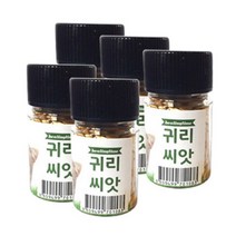 힐링타임 캣그라스 씨앗, 귀리, 10개