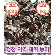 자연산 능이버섯 건조 100g 냉동 1kg 삼계탕 백숙용 건능이 냉동능이 수입산 Mushroom, 건조 A급 100g, 1개