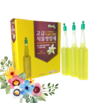 장미 로즈마리 영양제 토마토 양액 비료 뿌리촉진제, 옵션6.하이드로볼