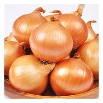 [푸르젠] [선별배송] 22년산 양파 10kg(장아찌용 100g 미만), 상세 설명 참조, 상세 설명 참조