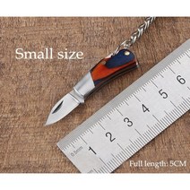 캠핑 하이킹 야외 나이프 키 펜던트 1PCS 미니 접이식 체인 스테인레스 스틸 휴대용 가정용 과일 도구, Small (1Pcs), Small (1Pcs)