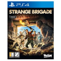 PS4 스트레인지 브리게이드 한글판