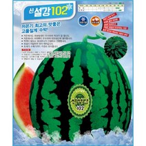수박씨앗 신설강102 수박(200립)