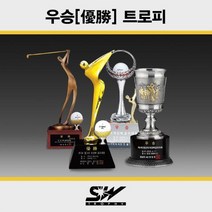 골프트로피 메달리스트 우승 시상식대회트로피_SWT-225, SWT-225