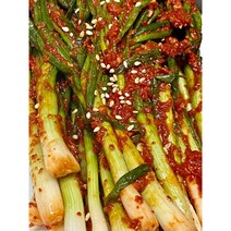 해남땅끝모녀반찬 파김치, 500g