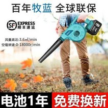 송풍기 출력 톱밥 강력 먼지 독일 충전 고출력 리튬전지 공업 집진기 무선전동 컴퓨터, 13 고출력 헤어드라이어 23800 1전기