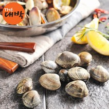 남해안 활 바지락 1kg 제철 왕바지락 깐바지락살, 활 바지락 2kg