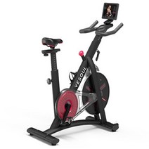 회전하는 자전거 가정용 자기 제어 피트니스 장비 실내 운동 성인용 자전거 음소거, 검은색