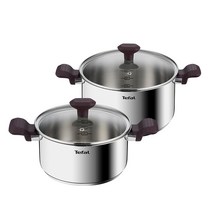 테팔 NEW 차세대 냄비 + 후라이팬 티타늄 스테인리스, (인덕션)테이스티쿡 (양수20cm + 전골24cm)