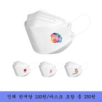 미연다 kf94 새부리 3D 2D 덴탈 마스크 프린팅 로고 인쇄 단체 주문제작 (면티에코백가능), KF94 2D마스크, 100~499개