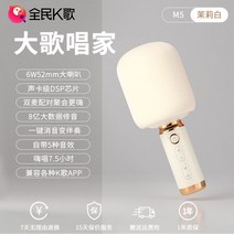 마이크 무선 노래방 휴대용 블루투스, 공식 표준, 화이트