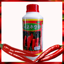 고추착색제 고추빨리붉게하는약 고추붉게하는약 고추칼라500ml