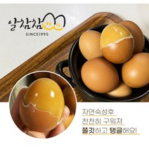 다양한 계란대란 인기 순위 TOP100을 소개합니다