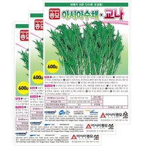 아시아종묘 채소씨앗 - 경수채 교나(2000립x3)