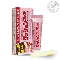 일동제약 쿠션코렉트 12g 틀니접착제 의치부착재