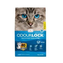 오더락 12kg 고양이 모래, 12kg × 2개