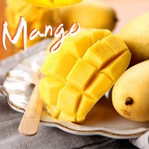 [바른팜] 항공직송 고당도 필리핀 망고 S 24개 5kg, 없음