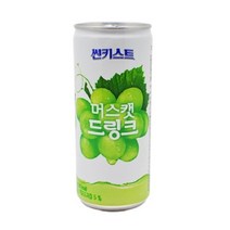 썬키스트 머스켓 240mlx30캔x2박스, 240ml, 60개