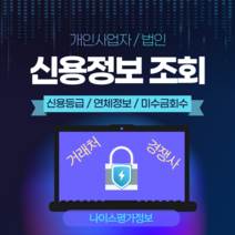 거래처관리 기업정보 신용등급 조회 RM1 [나이스평가정보] 1개월권, 기업정보조회